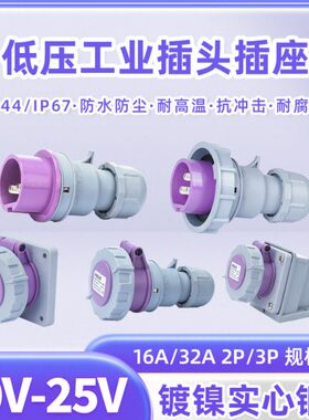 9-251620工业插头欧2P三A3防水2A标低压两芯连接器V芯a2暗装插座6