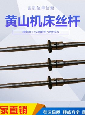 滚珠丝杆 黄山诚益机床 丝杠FD2504/535 FD2504/603 FD4006/1558