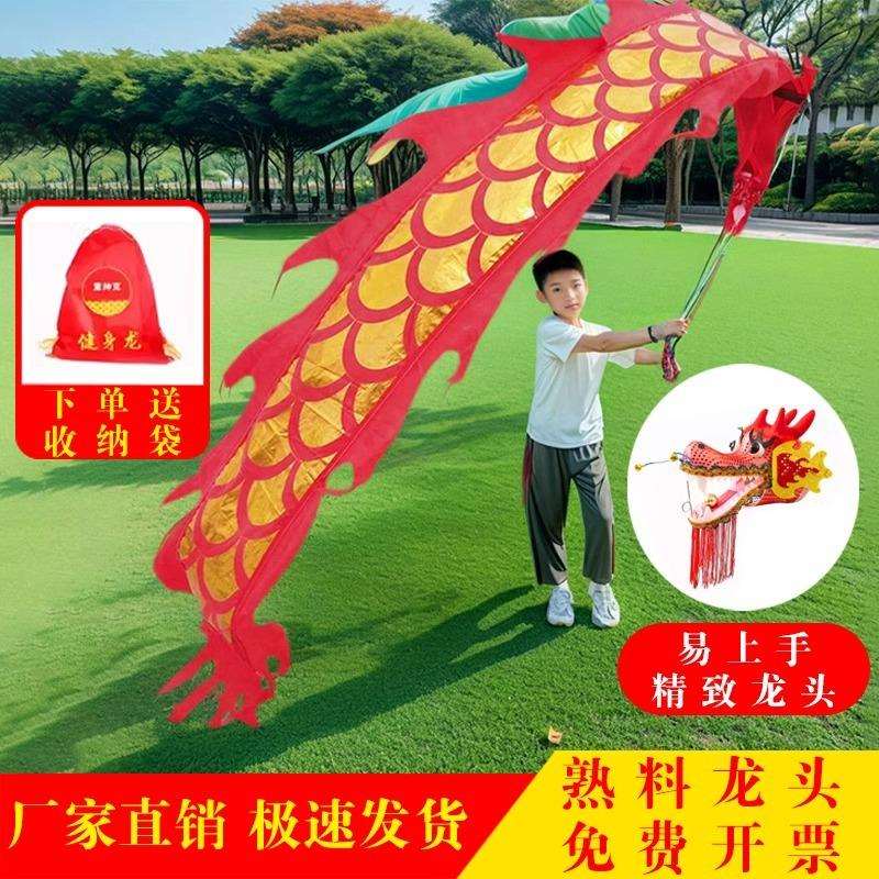 舞龙彩带健身新款儿童手甩龙飘带广场舞甩甩龙中国龙龙头表演道具