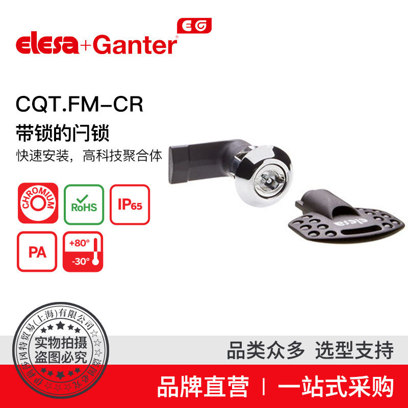 ElesaGanter伊莉莎冈特CQT.FM-CR带钥匙的闩锁快速安装高