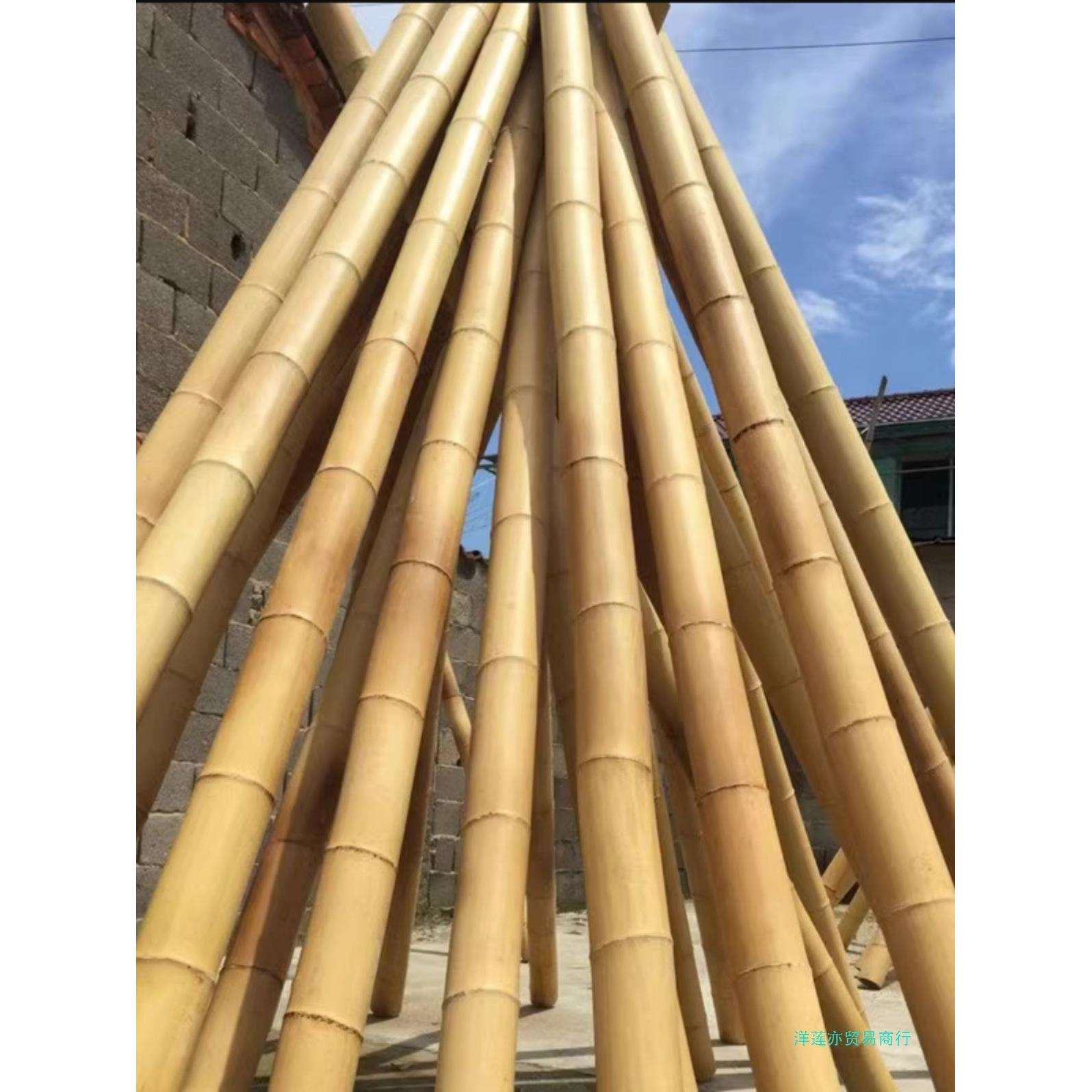WWXM558装饰竹竿白竹杆吊顶竹子装修隔断2米3米4米长防腐毛竹楠竹
