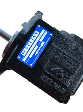 印度维京VELJAN叶片泵VT6B-B02-1R00-D1-00  VT6B-B06-1R00-D1-00