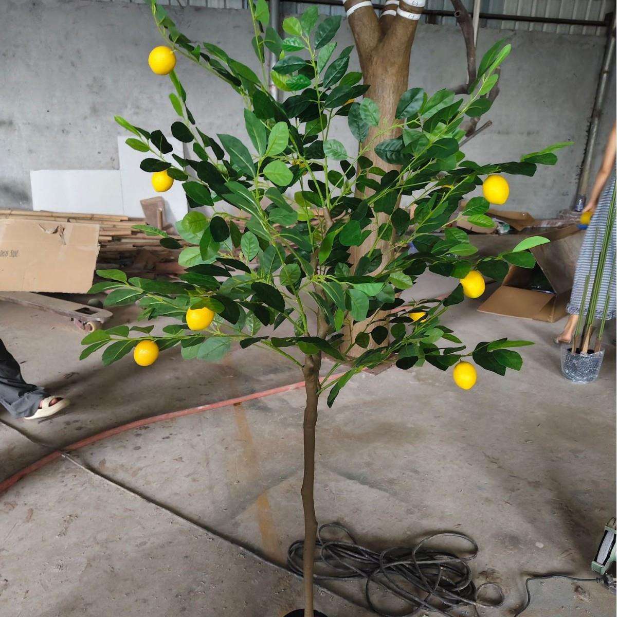 仿真水果柠檬树绿植迷你小盆栽柠檬树原厂家直销装饰摆件厂家