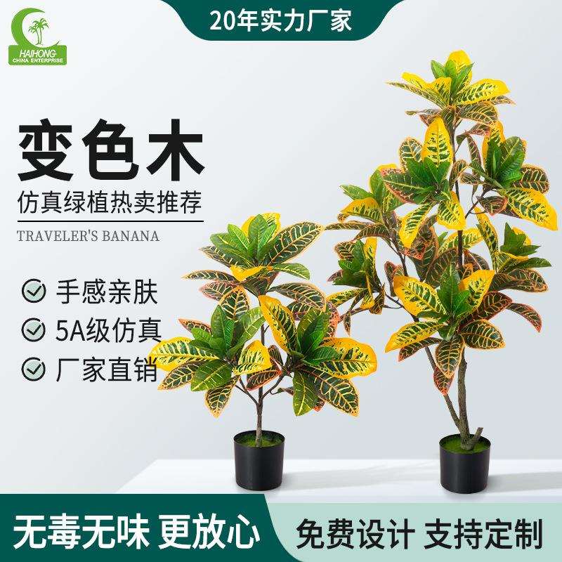 跨境仿真盆栽植物变色木洒金榕七彩变叶木客厅办公室装饰假树摆件