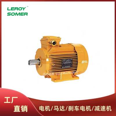 法国LEROY-SOMER电机马达LS LSES系列63 71 80 90 100 112M~200L