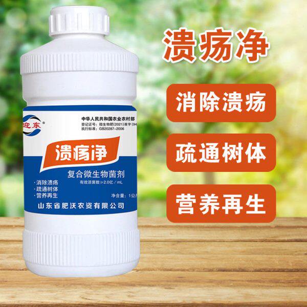 迎东柑橘溃疡病专用击克复合微生物菌剂果园用黄斑病柑桔子溃腐灵