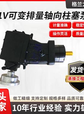 H1V/PV30CDX萨姆Sam高压发泡电动聚氨酯计量泵铸铁材质料液压泵