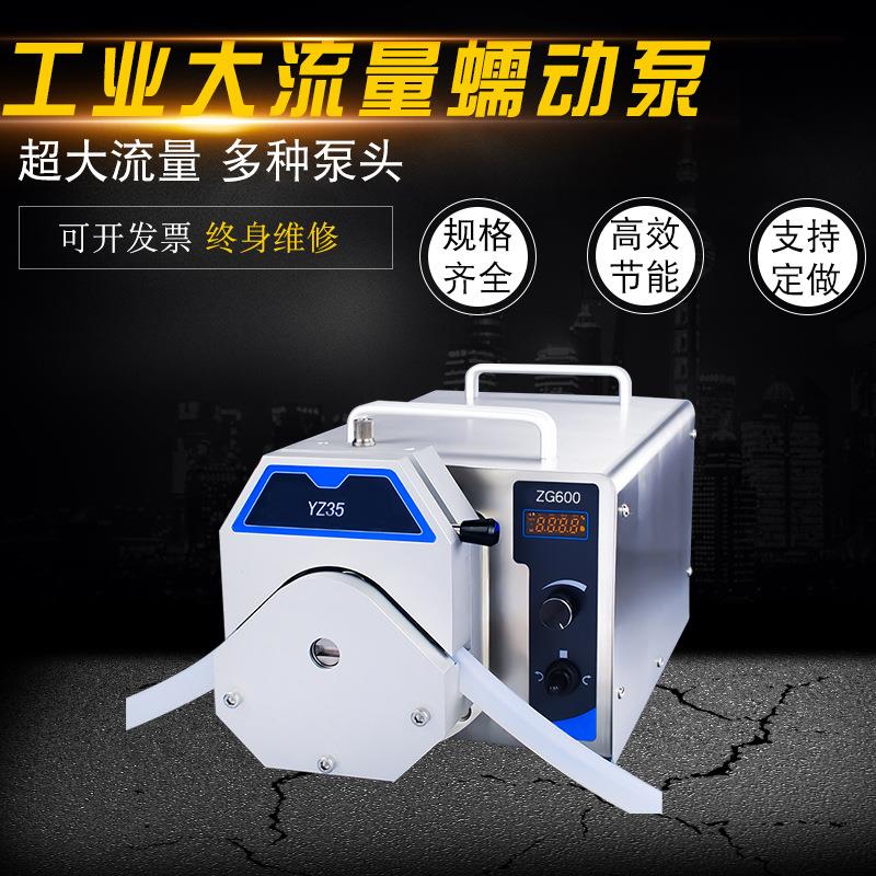 大流量蠕动泵BG600-S型工业恒流泵减水剂中试加药软管泵