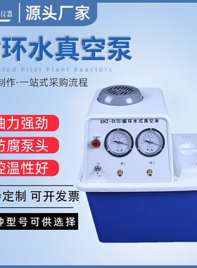 61少儿节室不锈钢台式抽滤泵 SHAZ-DIII双表双抽循环水真空泵小型