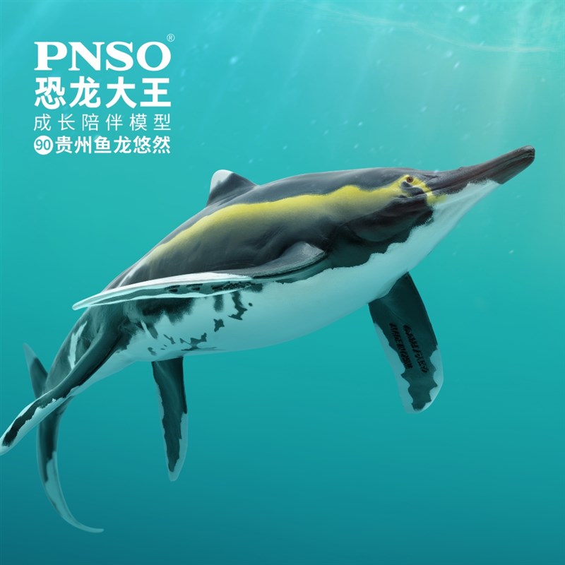 PNSO贵f州鱼龙悠然恐龙大王成长陪伴模型90