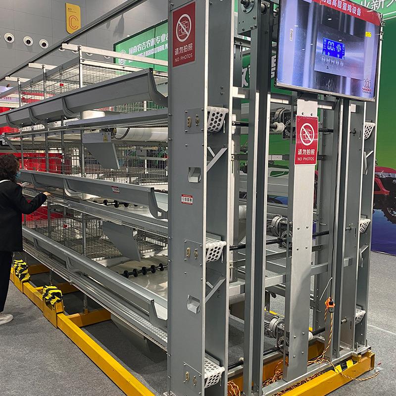 畜牧养殖全自动智能化阶梯式捡蛋机大规模养殖集蛋器