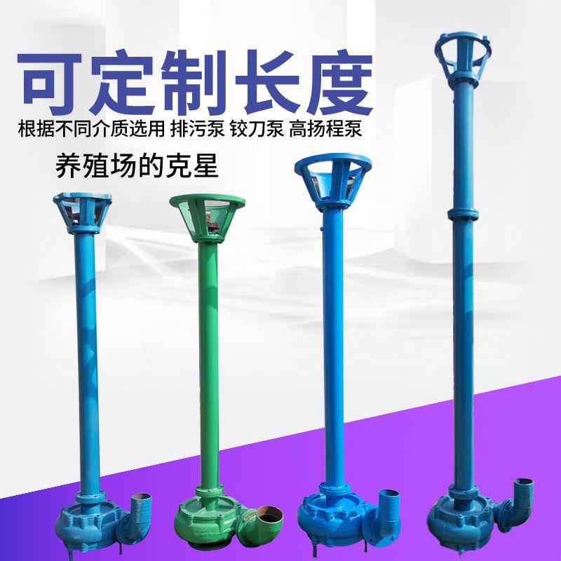 2寸3寸4寸杆泵NWL铸铁排污泵高压带电机泥浆泵抽粪泵化粪池吸粪机