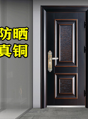 防晒钢质门进户入户防盗门安全工程定制模压保温烤漆真铜漆钢制门