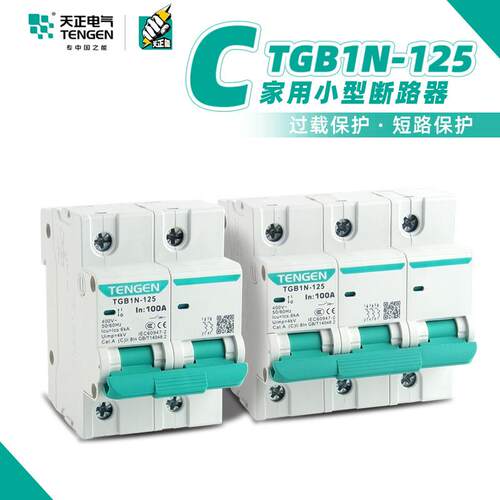 天正TGB1N-125 C63/80/100/125A小型断路器1P2P3P4P空气开关DZ47