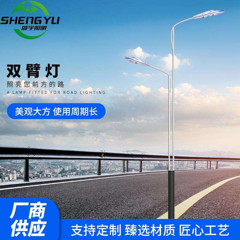 10米led双臂路灯户外杆道路灯具双挑灯市电市政路灯一体杆灯头