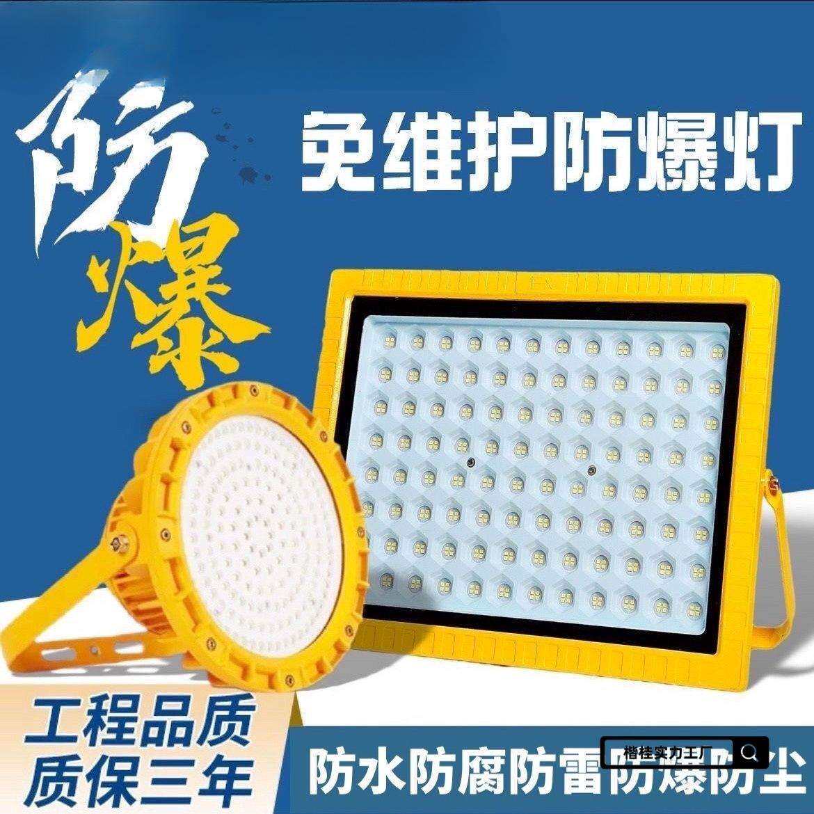 防爆灯天棚灯50瓦100瓦仓库车间化工厂加油站罩棚灯防水照明灯