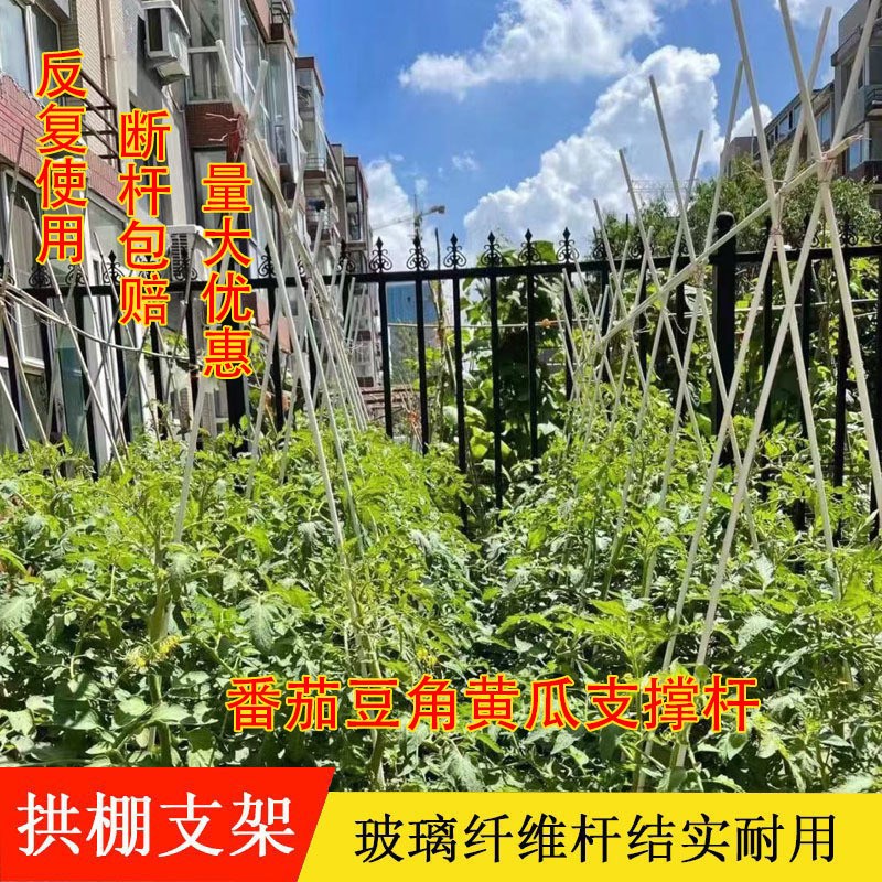 架子菜园丝瓜黄瓜棒番茄支架固定菜E地阳台爬藤架蔬菜支撑杆植物