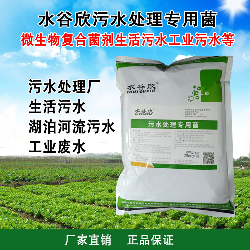 水谷欣 污水处y理专用菌 净化水质