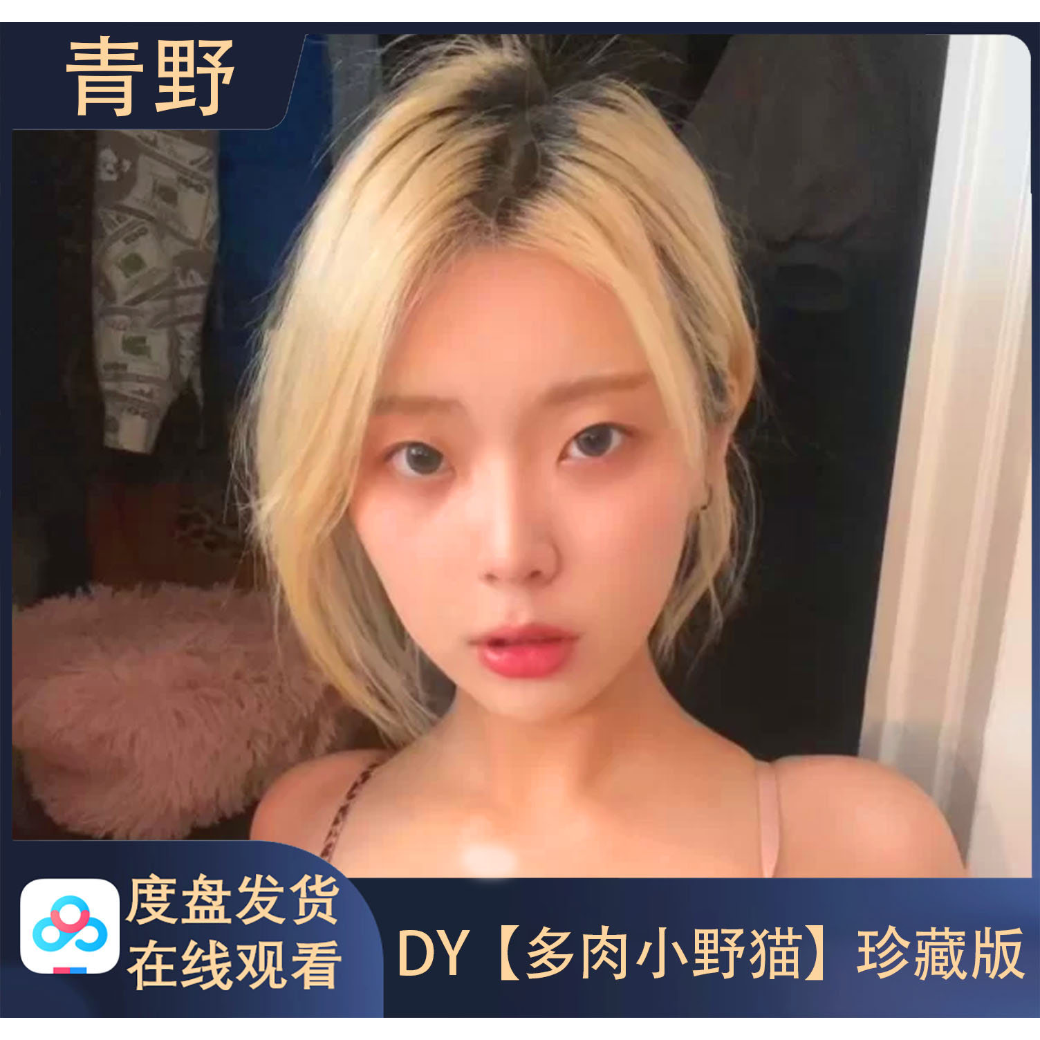 【珍藏版】DY 多肉小野猫 专属会员合集高清写真海报照片壁纸素材