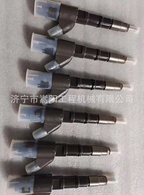 0445020506挖掘机110VS柴油泵喷油器