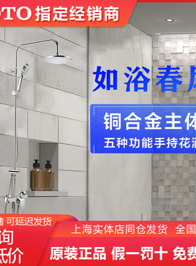 TOTO淋浴花洒套装淋浴器浴缸龙头家用淋浴DM911/TBS04301 (05-K)