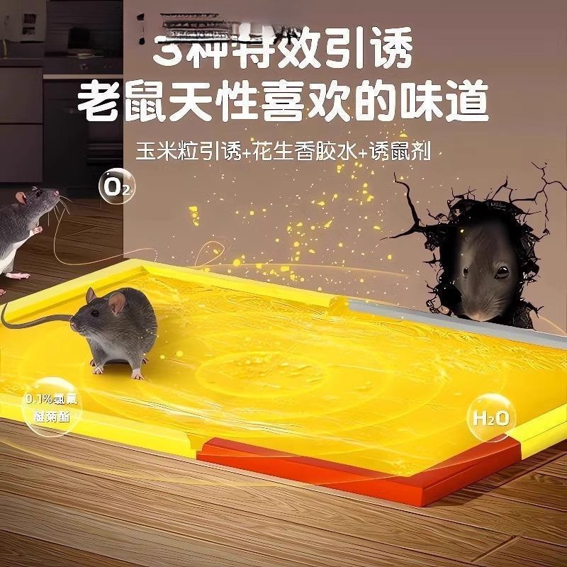 粘鼠板强力粘鼠标老鼠贴新款家用C强力胶抓杀大老鼠老鼠板老鼠粘