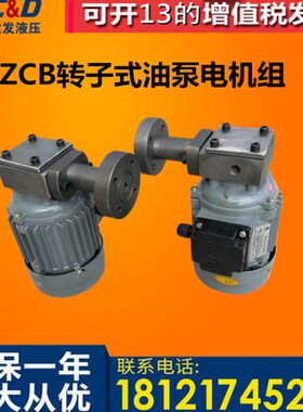 W.Bb/1.2/式W-0 40转子120Z 0WC0装czW/2.538V油泵8置 9电机60