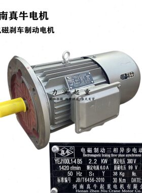 电机电河南E动三相异步电动机Y W-牛起重0  42KJ立B5制磁真2.101L