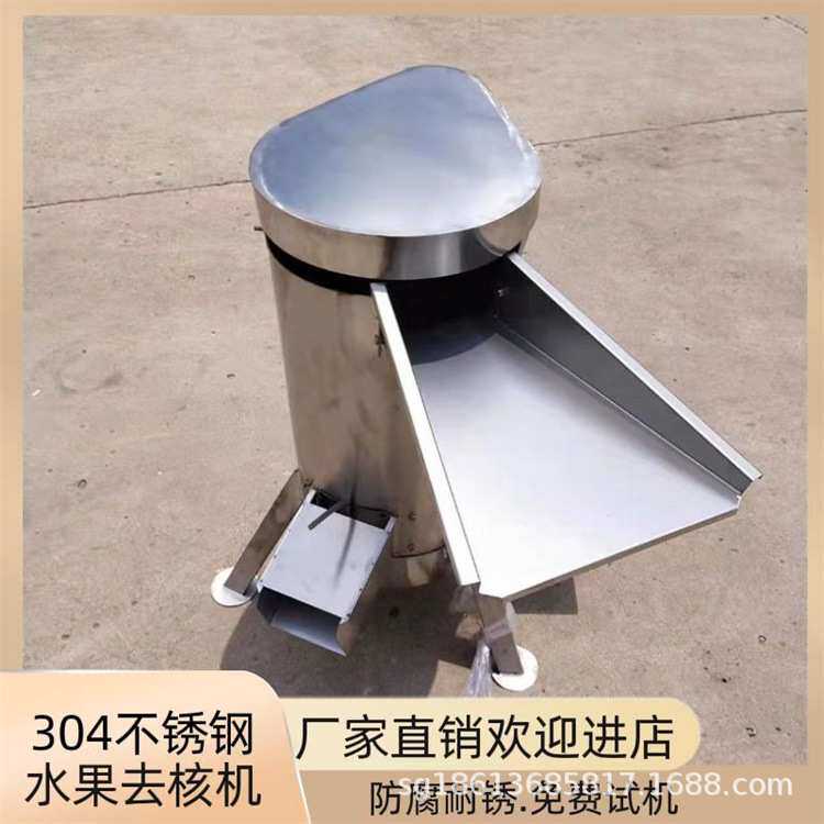 商用大型水果去核机 芒果李子荔枝打浆脱核机 果酒厂青梅去核机