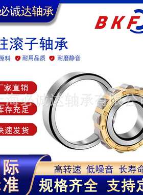 BKF圆柱滚子轴承N NJ NU NF NUP232 234 236 240 332 334 336 EM