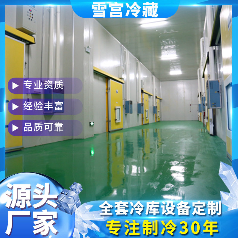 海鲜海参冷冻设备 黄桃果蔬大型柜式保鲜冷藏库 龙虾尾速冻流水线