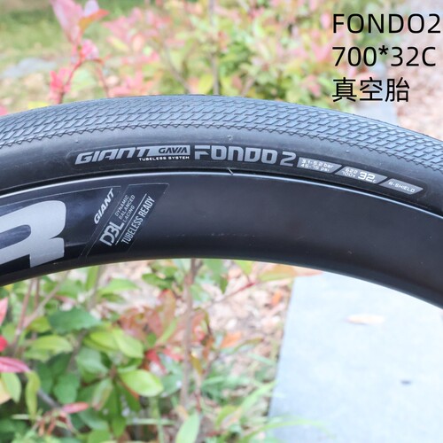 捷安特真空轮胎自行车外胎giant