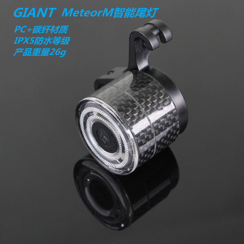 捷安特警示夜行车灯单车尾灯