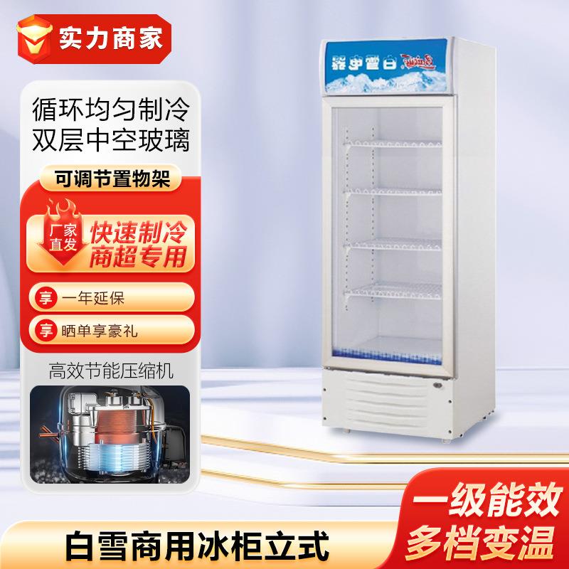 白雪冰柜立式陈列柜展示柜饮料柜啤酒柜冷柜点菜柜