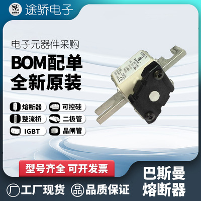 伊顿巴斯曼170M3108-3111熔断器