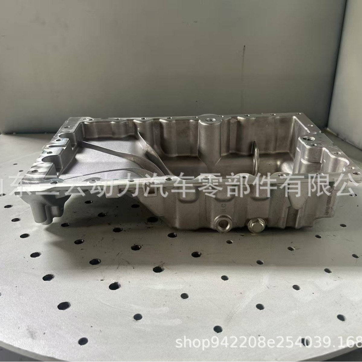 奇瑞瑞虎东方之子481发动机油底