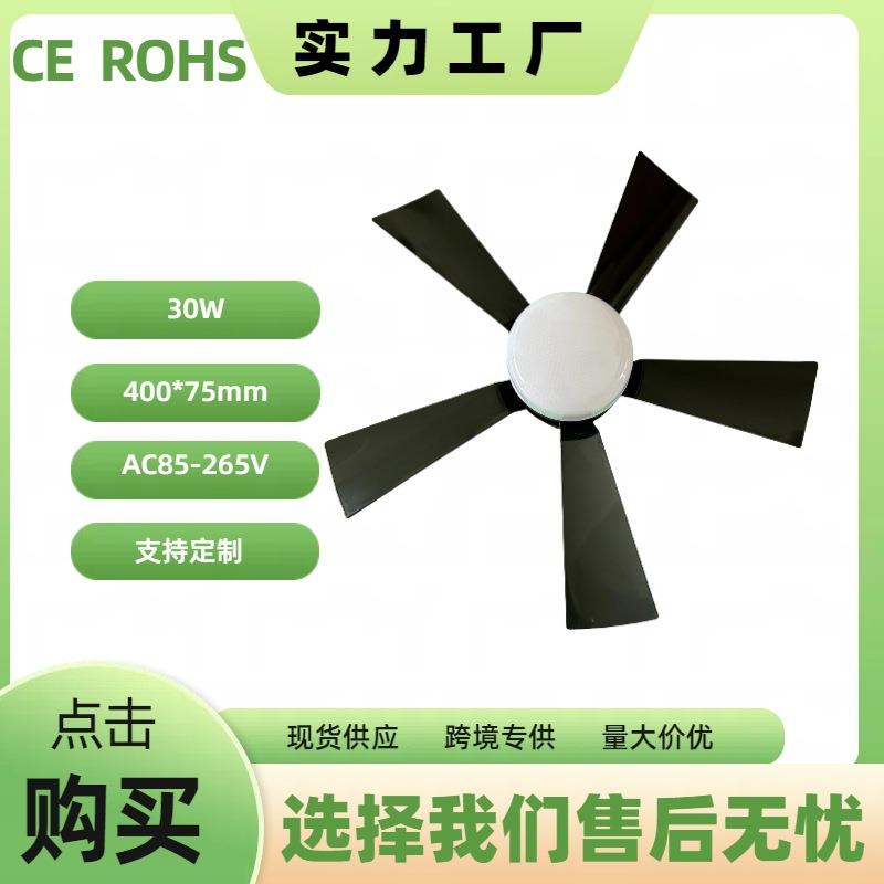 5叶黑色风扇灯吊扇灯led灯亚马逊爆款分体风扇现代简约LED风扇灯