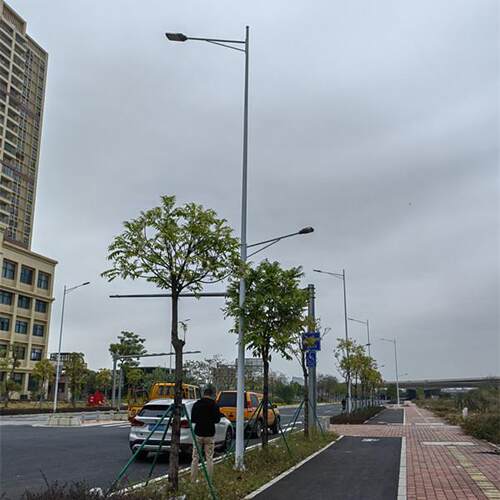 10米路灯200瓦道路用电10米路灯安装价格中山厂家双梅桦灯饰