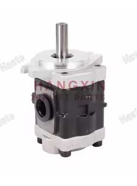 液压齿轮泵DSG05C20F9H9-R221C/Hangcha 3T Tram