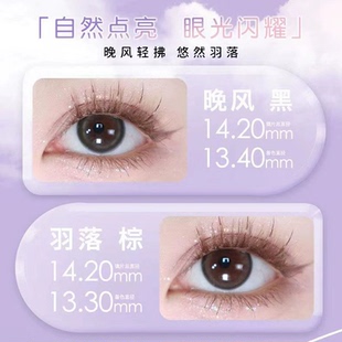 海昌星眸异想系列日抛2片装-羽落棕