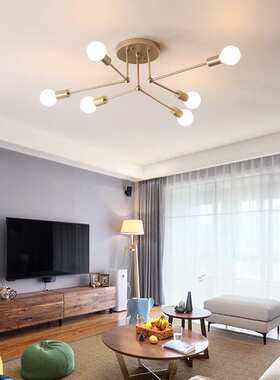 跨境新款创意吸顶灯极简后现代铁艺灯具黑金色书房客厅LED吸顶灯