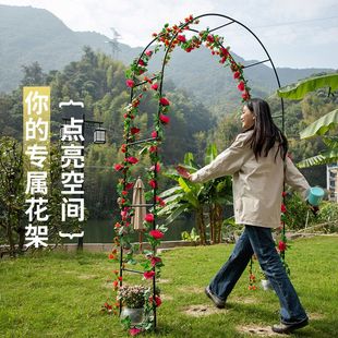 花支架爬藤架花架子室内家用庭院月季杆圆形花架子圆形门拱门蔷薇