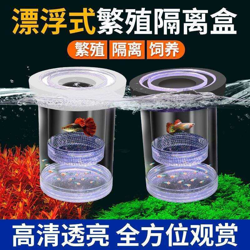 孔雀鱼繁殖隔离盒凤尾鱼孕母鱼胎生鱼产卵孵化分离器小鱼苗专用网