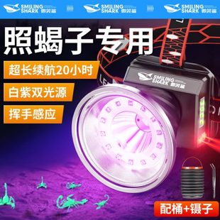 照蝎子专用395nm紫光灯强光感应头灯头戴式手电筒户外超亮可充电