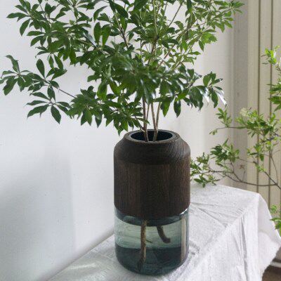 北欧可拆卸实原木手工制作浅绿色玻璃花瓶透明家居干花房间插花器