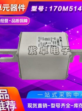 170M5147 170M5148 170M5149 170M5150伊顿巴斯曼 熔断器 保险丝