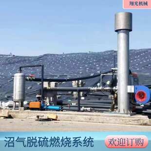 翔光机械 沼气火炬 沼气脱硫净化器 内燃式沼气火炬 50立方