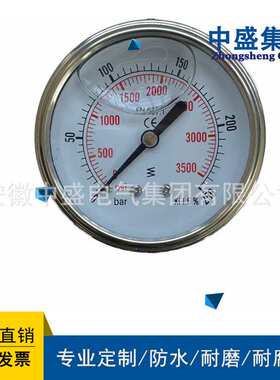 不锈钢隔膜压力表Y-100BF/MF/F4/TA-0-1DN25