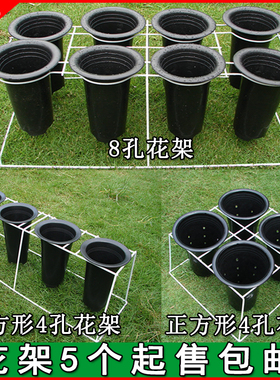 兰花架铁艺塑料兰花盆专用支架白色花架落地式4孔8孔兰草花盆架子