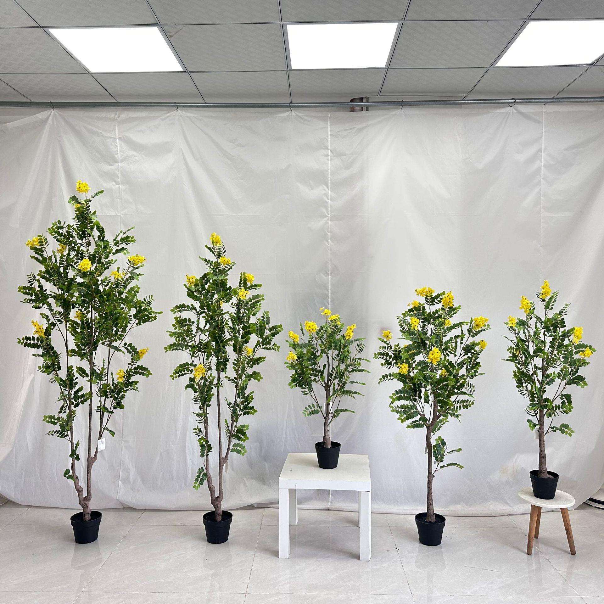 槐花绿植室内落地假树装饰摆件假绿植盆栽黄槐花树